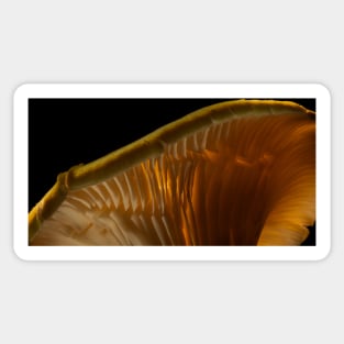 Mushroom Macro Illuminated Sticker